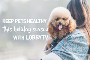 Healthy-Pets